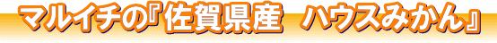 �}���C�`�́w���ꌧ�Y�@�n�E�X�݂���x